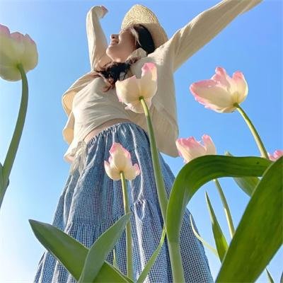山本五十六 海空生死战 在线观看封面