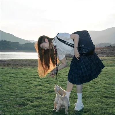 河东狮吼 在线观看封面