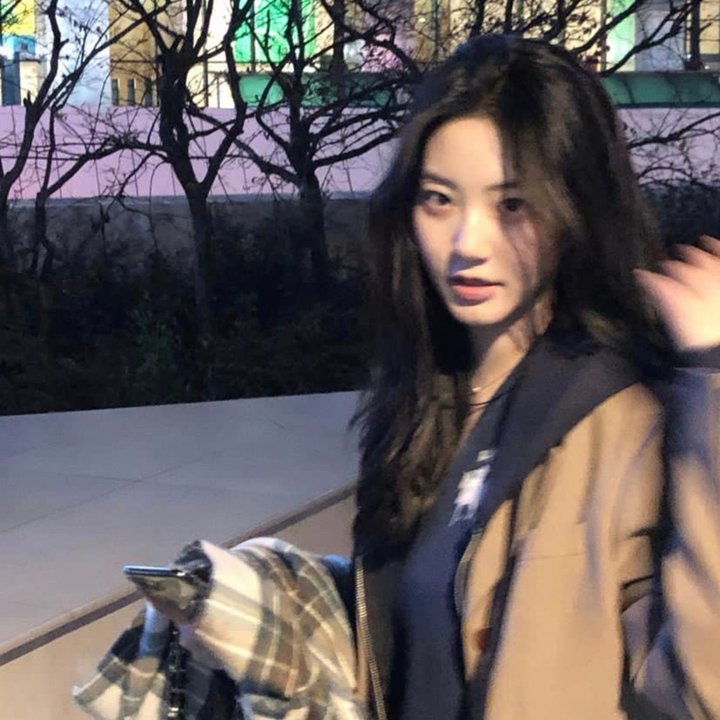 蒙提·派森和圣杯 在线观看封面